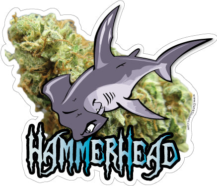 Hammerhead waterproof decal